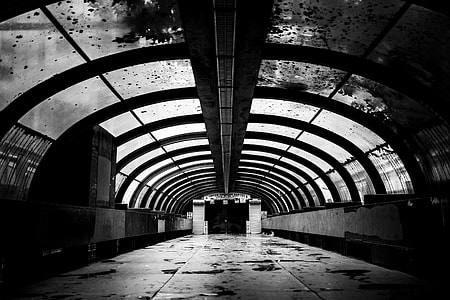 grayscale shot of hallway during daytime thumbnail