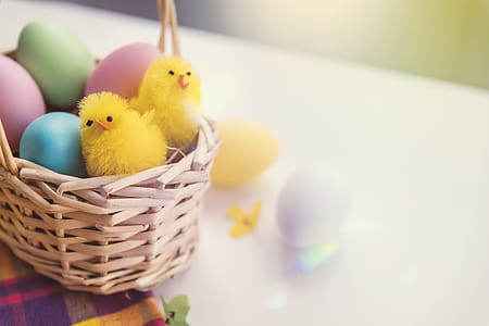 Happy Easter! Toy chicken and eggs in the basket thumbnail