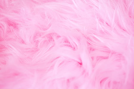 pink fur thumbnail