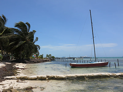white and brown boat on seashore thumbnail