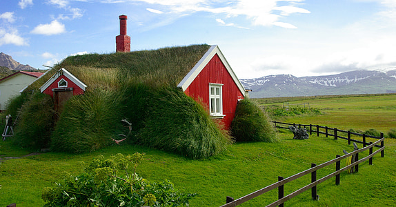 iceland, bordafjordur, roofing, grass thumbnail