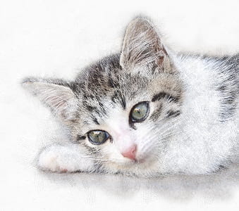 silver tabby kitten painting thumbnail