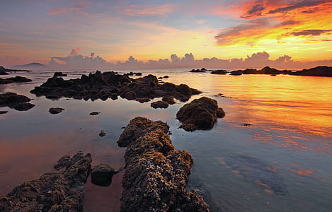 landscape photography of body of water during sunset thumbnail