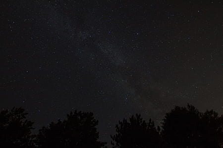 silhouette of trees under starry night thumbnail