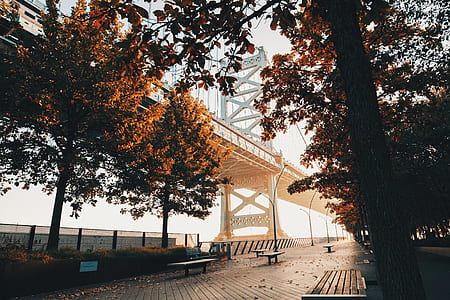 benches with pathway near metal bridge during daytime thumbnail
