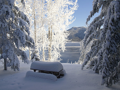 portrait photography of bench covered with snow thumbnail
