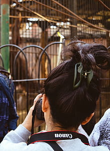 Photography of a Woman Taking Photos thumbnail