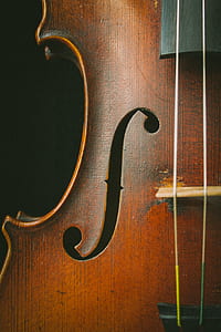photography of violin F-hole thumbnail