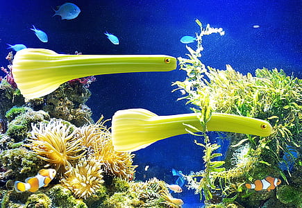 green fishes underwater thumbnail