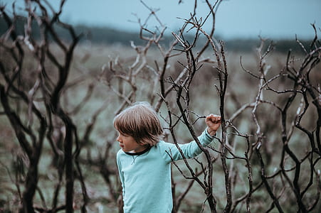 child holding grey driftwood thumbnail