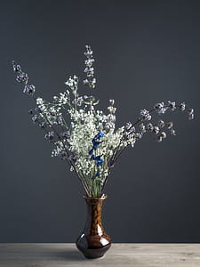 flowers, flower, color, bright thumbnail