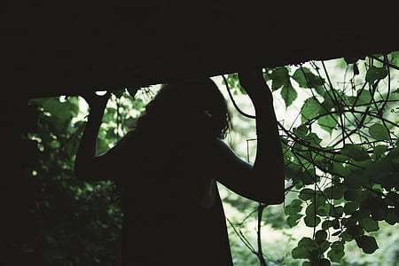 silhouette of woman thumbnail