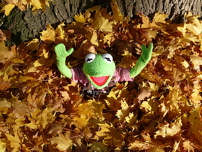 Kermit the Frog in brown maple leaf thumbnail