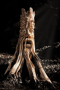 beige wooden tree root thumbnail