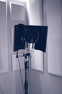 grayscale photo of condenser microphone with cover near wall thumbnail