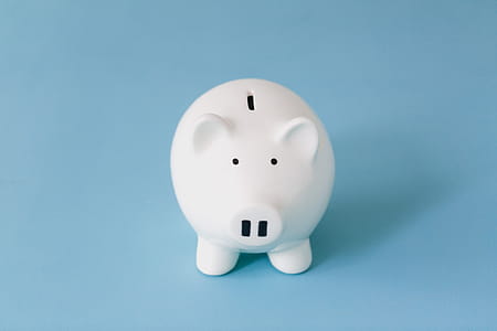 Piggy Bank Photo thumbnail
