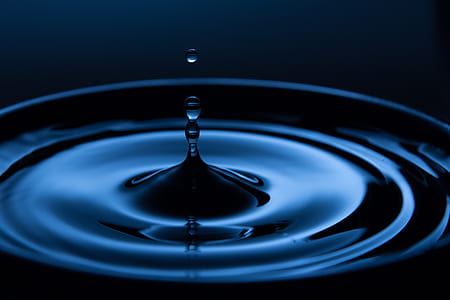 closeup photo of round dish with water thumbnail