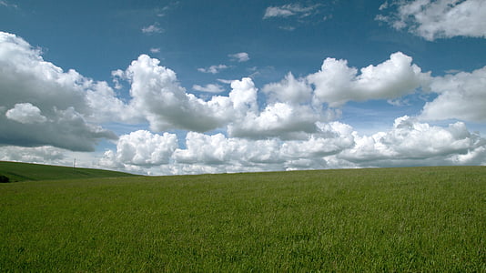 green grassland under white and blue cloudy sky during daytime thumbnail
