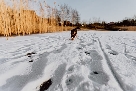 In middle of frozen lake thumbnail