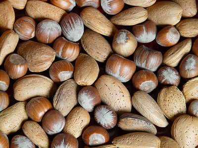 stack of brown hazel nuts and seeds thumbnail