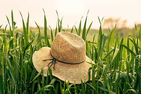 brown straw hat on grass field at daytime thumbnail