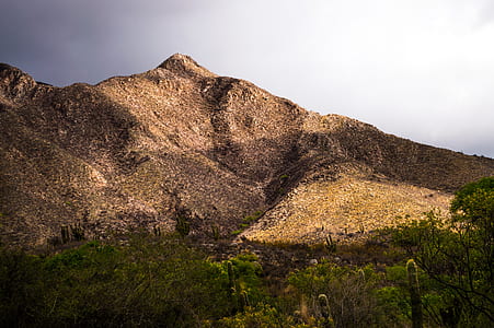 Photo of Mountain Near Forest thumbnail