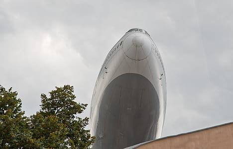 gray airplane over tree during daytime thumbnail