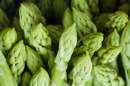 closeup photo of green leaf plants thumbnail