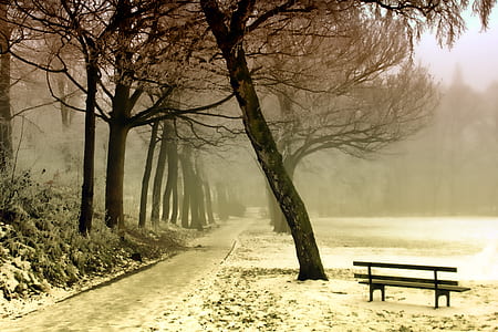 cold, snow, wood, bench thumbnail