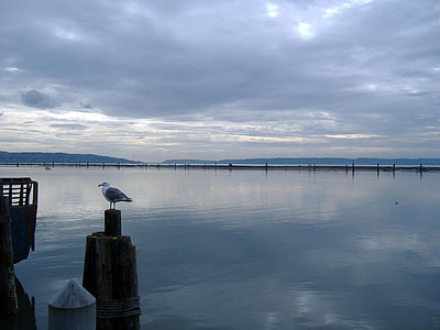 Everett Yacht Club on Port Gardner Wharf in Washington thumbnail