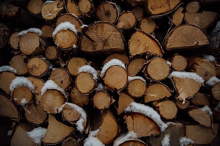 brown firewood covered by snows thumbnail