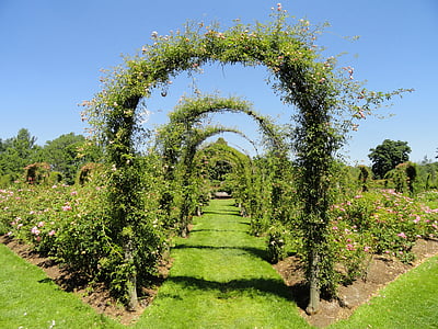 green flower arch in garden thumbnail