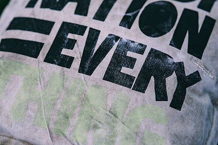 Close-ups of pillows and a grey sofa thumbnail