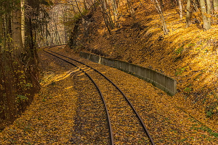train rail near trees thumbnail