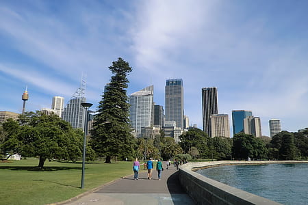 people walking near trees and buildings at distance thumbnail