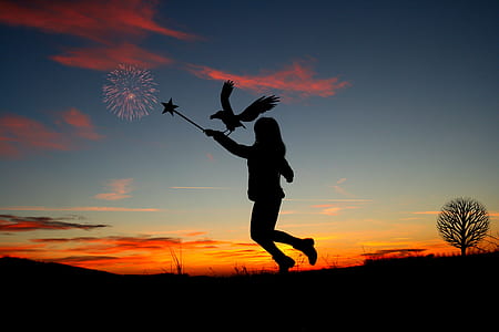 silhouette of a person playing with bird during sunset thumbnail