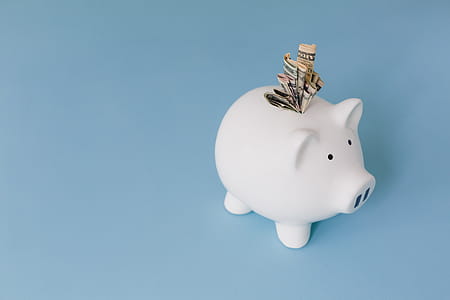 Money Saving Bank Photo thumbnail