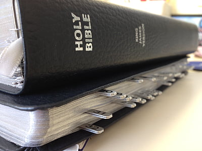 Holy Bible on white board thumbnail
