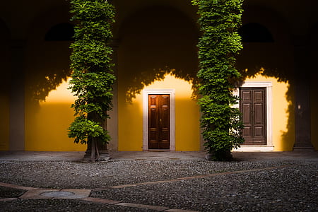 two closed door with tree infront thumbnail