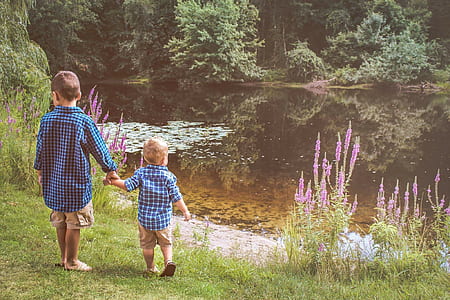 boy and toddler holding hands while standing on green grass front of river at daytime thumbnail