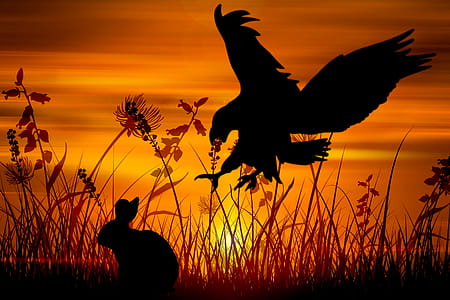 Eagle on the hunt, attacking rabbit silhouette thumbnail