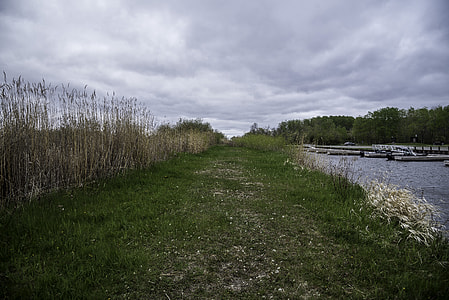 Grassy path and Boat Docks at Zippel Bay State Park, Minnesota thumbnail