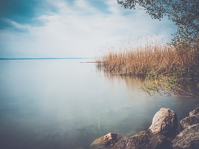 brown grass on white body of water under white cloudy sky thumbnail