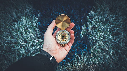 person holding pocket watch thumbnail