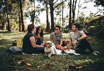 Group of People Sitting on White Mat on Grass Field thumbnail
