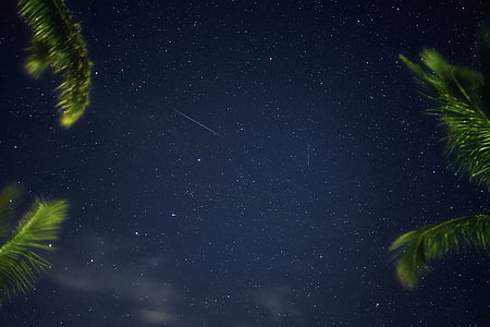 starry nights thumbnail