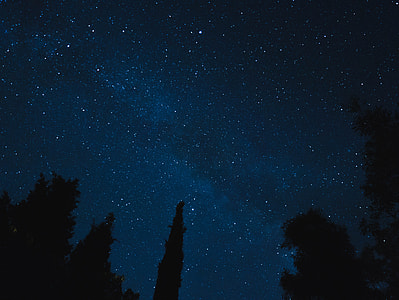 silhouette of trees under sky with stars photo taken during nighttime thumbnail