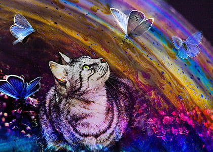 several common blue butterflies and gray tabby cat illustration thumbnail