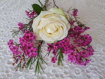 white rose thumbnail