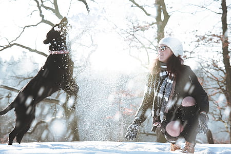 woman near the black dog jumping on the field thumbnail